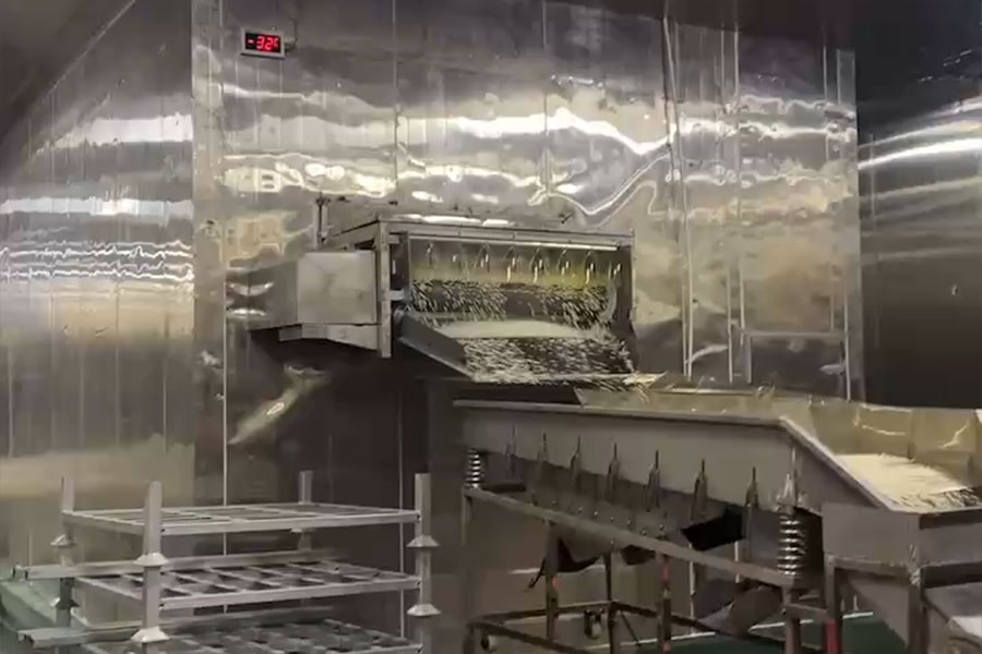 Fujian Eyaletindeki bir gıda şirketi hızlı dondurma tüneli projesi geliştiriyor.